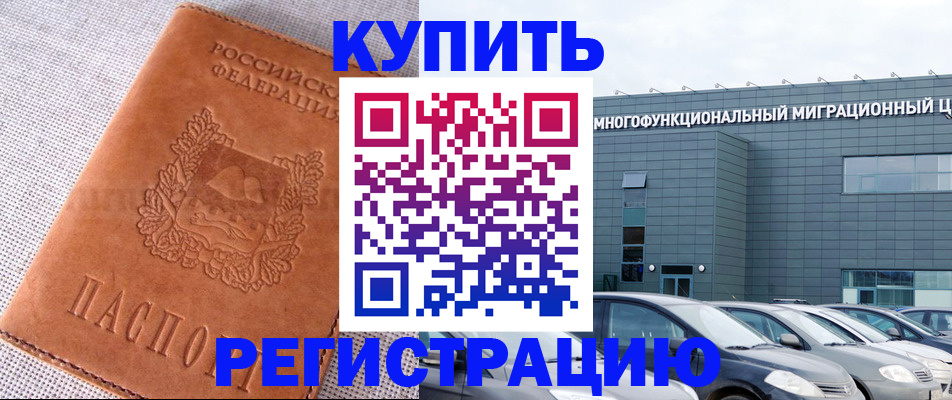 прописка законно в Мончегорске
